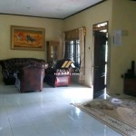 Untitled design (48)