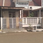 Untitled design (48)