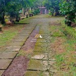 Untitled design (53)