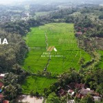 Untitled design (53)