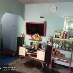 Untitled design (54)