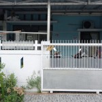 Untitled design (54)