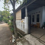 Untitled design (54)