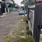 Untitled design (54)