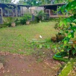 Untitled design (54)