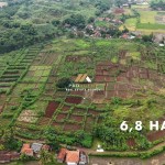 Untitled design (56)