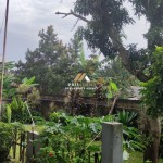 Untitled design (58)