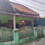 Untitled design (58)