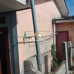 Untitled design (59)