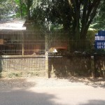 Untitled design (59)