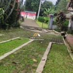 Untitled design (60)