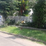 Untitled design (60)