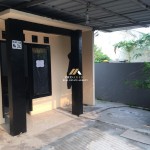 Untitled design (61)