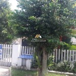 Untitled design (61)