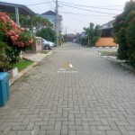 Untitled design (61)