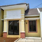 Untitled design (73)