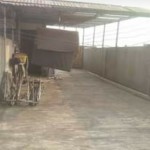 WhatsApp Image 2024-07-20 at 12.10.48_5567b28d