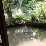(0251) 8317918 (11)