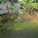 (0251) 8317918 (11)