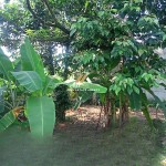 (0251) 8317918 (12)