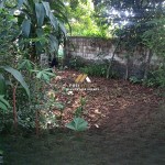 (0251) 8317918 (13)
