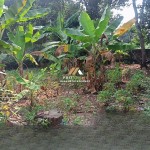 (0251) 8317918 (19)