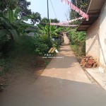 (0251) 8317918 (4)