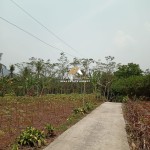 (0251) 8317918 (5)
