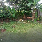 (0251) 8317918 (5)