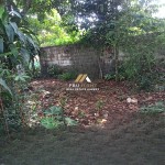 (0251) 8317918 (8)