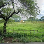 Untitled (1600 x 747 px) (1600 x 720 px) (11)