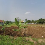 Untitled (1600 x 747 px) (1600 x 720 px) (11)