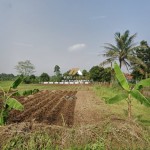 Untitled (1600 x 747 px) (1600 x 720 px) (12)