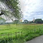 Untitled (1600 x 747 px) (1600 x 720 px) (6)