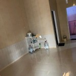 Untitled design - 2024-08-06T103201.187