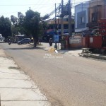 Untitled design - 2024-08-09T152718.412