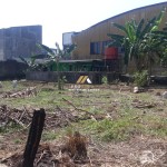 Untitled design - 2024-08-09T152901.601