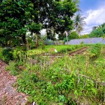 Untitled design - 2024-08-13T133152.285