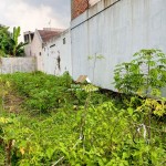 Untitled design - 2024-08-13T133213.807