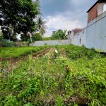 Untitled design - 2024-08-13T133228.611