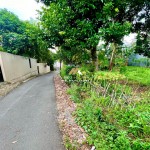 Untitled design - 2024-08-13T133255.933