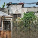 Untitled design - 2024-08-16T100424.683