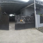 Untitled design - 2024-08-19T112008.144