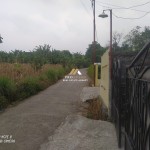 Untitled design - 2024-08-19T112050.659