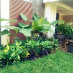 Untitled design - 2024-08-20T151224.248