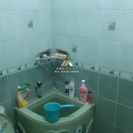 Untitled design - 2024-08-21T115016.709