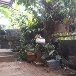 Untitled design - 2024-08-21T115157.448