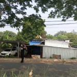 Untitled design - 2024-08-22T110953.714