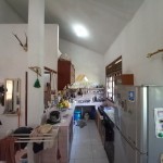 Untitled design - 2024-08-26T124758.604