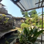 Untitled design - 2024-08-26T124842.419